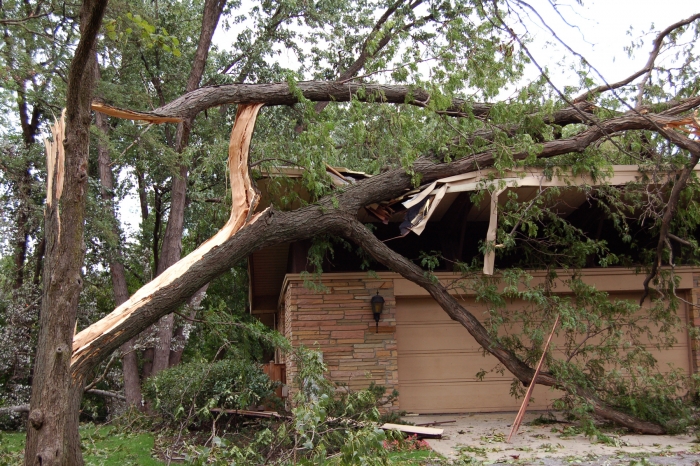 fallen tree branch on garage